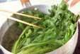 菊菜とミツバのゴマ和えの作り方の手順2