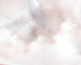 ロゼスパークリングワインのシャーベットの作り方5