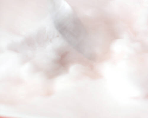 ロゼスパークリングワインのシャーベットの作り方の手順5