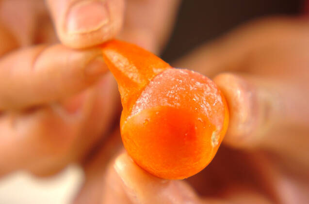 プチトマトのアイスの作り方の手順2