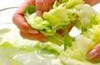 レタスとチーズのサラダの作り方の手順1