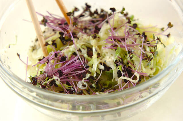 キャベツのアンチョビマヨサラダの作り方の手順4
