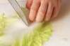 簡単ロール白菜の作り方の手順1