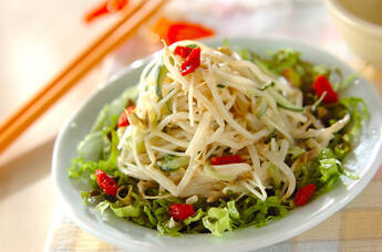 モヤシと春雨のサラダ