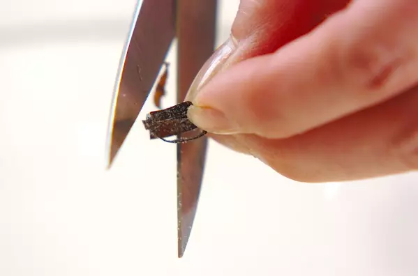 ささっとできる簡単箸休め！ミョウガと玉ネギの塩昆布ナムル by Tomozouさんの作り方2