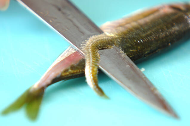 丸ごとおいしい！カリっと小アジの唐揚げの作り方の手順1