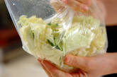 キャベツのもみ漬けの作り方5