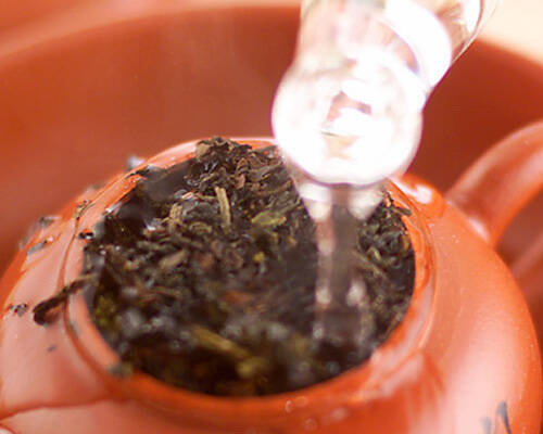 中国茶の作り方の手順1