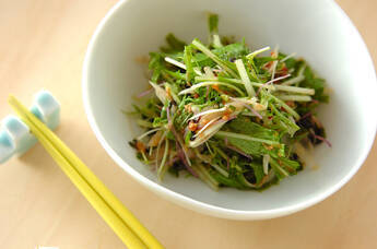 水菜とスプラウトの梅ポンサラダ