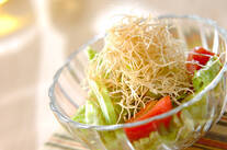 素麺パリパリハーブサラダ
