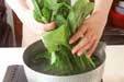 ホウレン草のおひたしの作り方の手順1
