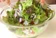 タコと新玉ネギのサラダの作り方の手順6