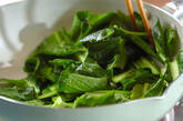 小松菜の炒め物の作り方1