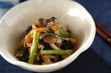 炒めキノコののり和え