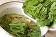 青菜のサッと煮の作り方の手順5