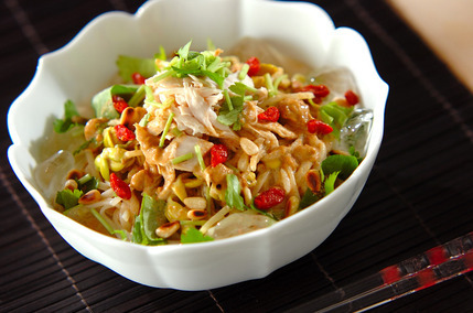 具だくさん冷やしうどん 冷凍うどんで簡単！人気のレシピ