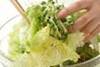 サニーレタスのサラダの作り方の手順7