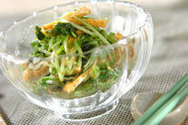 シャキシャキ水菜のゴマ和え