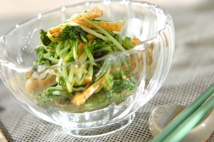 シャキシャキ水菜のゴマ和え