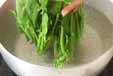 ほうれん草のスープの作り方の手順1