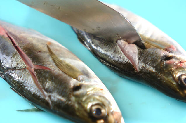 アジのシンプル塩焼きの作り方の手順1