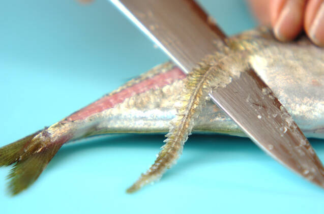 アジのシンプル塩焼きの作り方の手順1