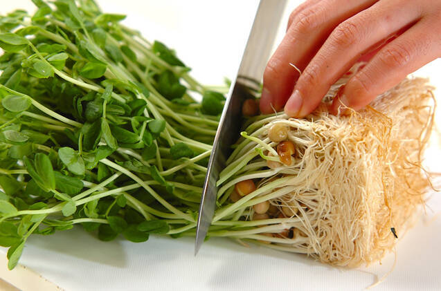 ご飯がもりもりすすむ！豆苗と豚肉のオイスターソース炒めの作り方の手順1