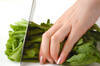 菊菜とエノキのお浸しの作り方の手順1