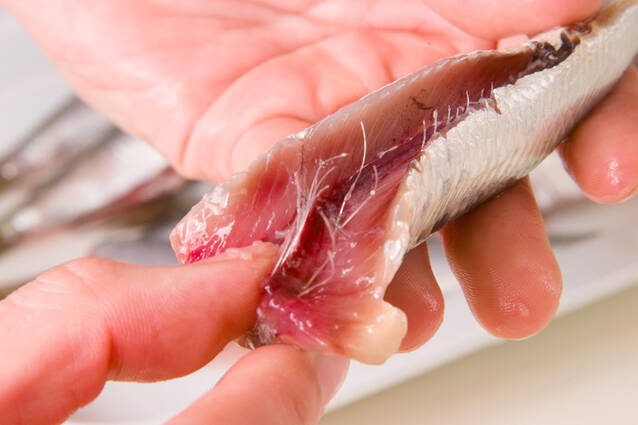イワシのパン粉焼きの作り方の手順1