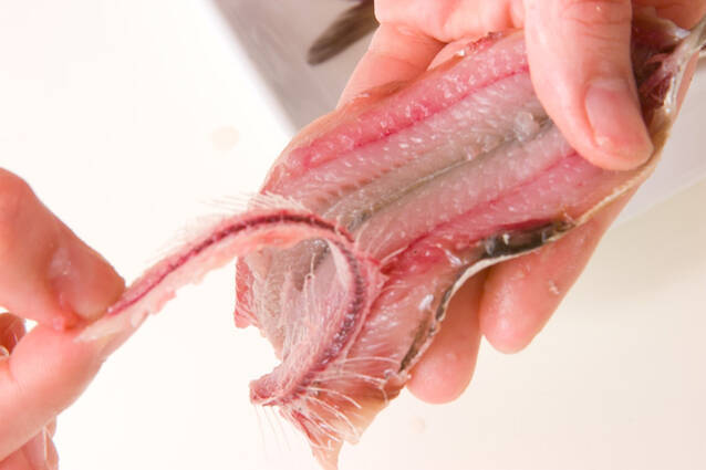 イワシのパン粉焼きの作り方の手順1