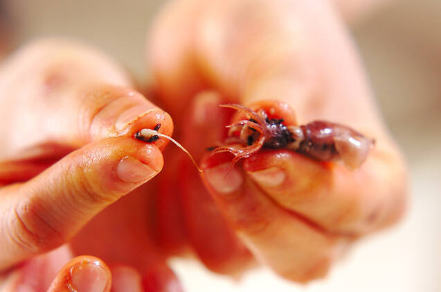 ホタルイカの酢みそ和えの作り方の手順1