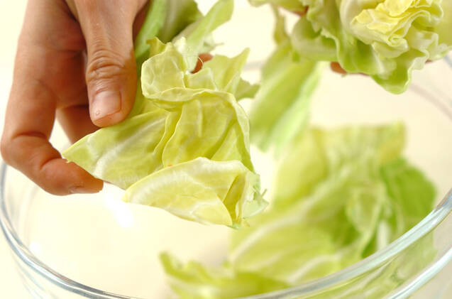 春キャベツの炒め焼きの作り方の手順1