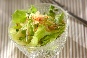 シャキシャキレタスのサラダ