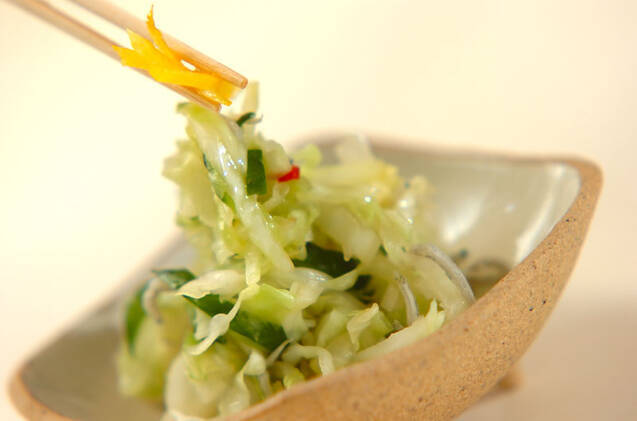せん切りキャベツの甘酢和えの作り方の手順5