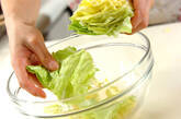 春キャベツの手もみサラダの下準備1