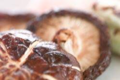 焼きシイタケ・タレ焼き