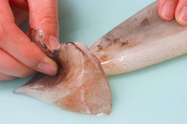 イカの黄身酢和えの作り方の手順1