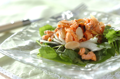 鮭とルッコラのサラダ 副菜 レシピ 作り方 E レシピ 料理のプロが作る簡単レシピ