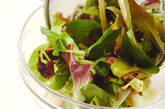 ベビーリーフのサラダの作り方5