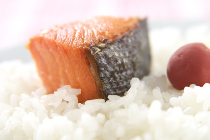 塩鮭とごはん