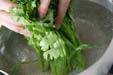 菊菜のゴマ和えの作り方の手順1
