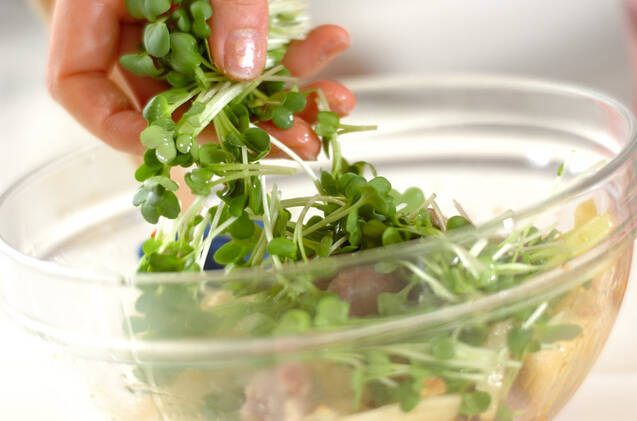 砂肝サラダの作り方の手順8