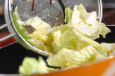 キャベツのアンチョビ炒めの作り方6