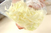 塩もみ白菜のゴマ和えの作り方3