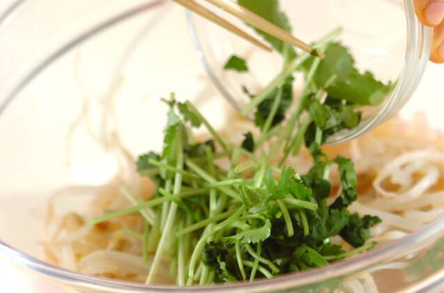 ゆでモヤシのからし和えの作り方の手順5