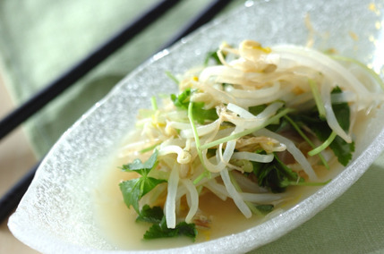 ゆでモヤシのからし和え