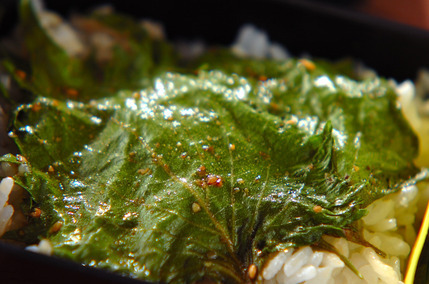 大葉のしょうゆ漬け