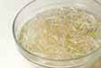 モヤシのカレー酢和えの下準備1