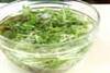 水菜のジャコサラダの作り方の手順1