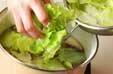 レタスのスープの作り方4